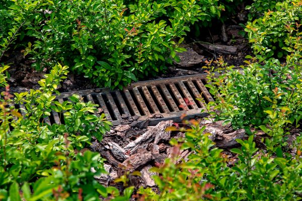 Cost of Underground Drainage Service in Lafayette