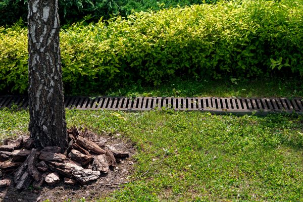 Cost of Wet Yard Drainage in Lafayette