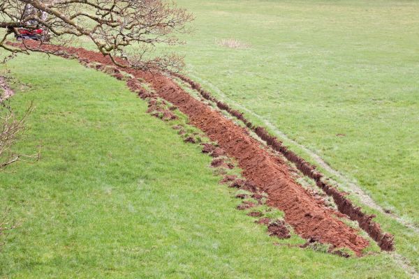 Cost of Swale Installation in Lafayette