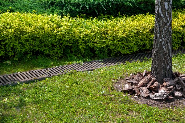 Cost of Residential Landscape Drainage in Lafayette